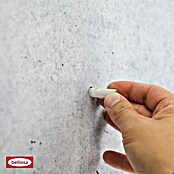 Bellissa Rankhilfe Seilspann Set Spago (Stahl, Länge: 10 m) | BAUHAUS