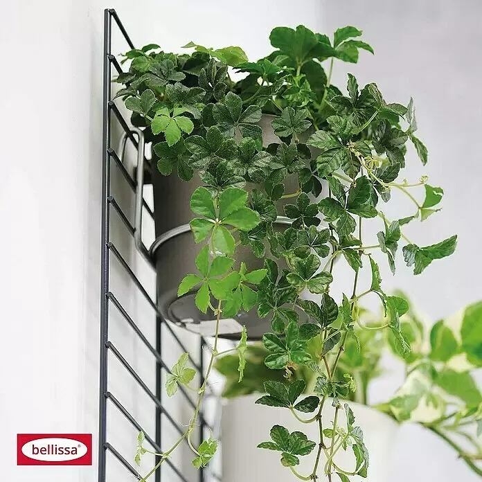 Bellissa Wandboard Fermo60,5 x 99 cm, Stahl