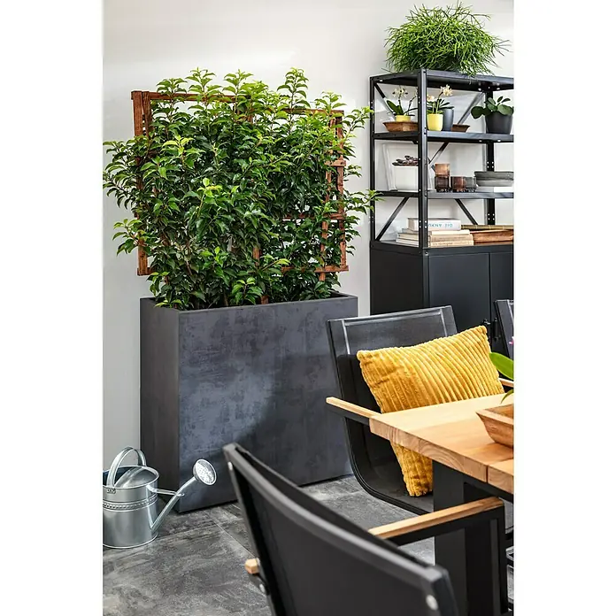 Metall-Mehrzweckschrank - L x B x H: 40 x 80 x 180 cm, Anzahl Türen: 2 Stk. - Ein großer, quadratischer Pflanzkübel in Grau mit einer üppigen, grünen Pflanze und einem Holzgitter. Eine Gießkanne steht daneben.