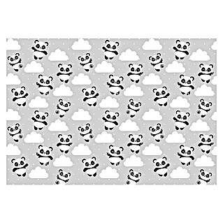 Fototapete Pandas II (B x H: 416 x 254 cm, Vlies)