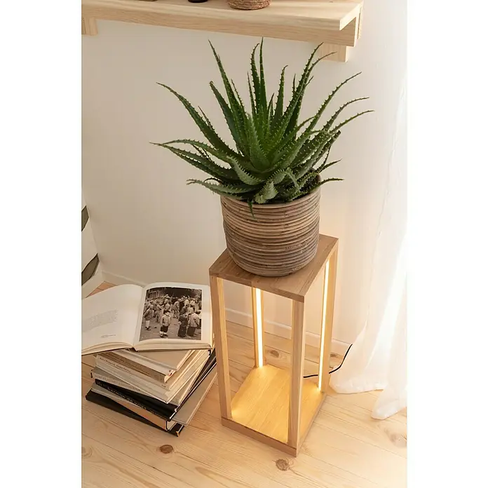 A.H.G. Übertopf rund - Außenmaß (Ø x H): 21 x 19 cm, Natur - Nahaufnahme einer Aloe Vera Pflanze in einem Topf auf einem beleuchteten Holzständer, daneben ein Bücherstapel mit einem geöffneten Buch.
