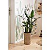 Komar Fototapete Breeze (7 -tlg., B x H: 350 x 250 cm, Vlies) | BAUHAUS