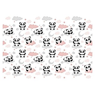 Fototapete Pandas IV (B x H: 416 x 254 cm, Vlies)