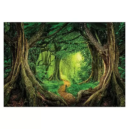 Fototapete Mitten im Wald