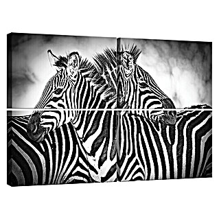 Leinwandbild (Zebras, 120 x 80 cm (4 tlg.))