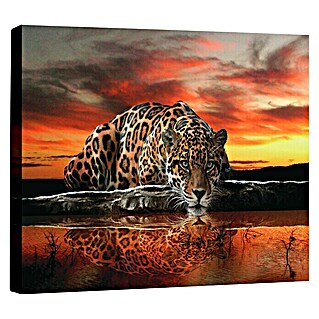 Leinwandbild (Jaguar im Sonnenuntergang, B x H: 60 x 40 cm)