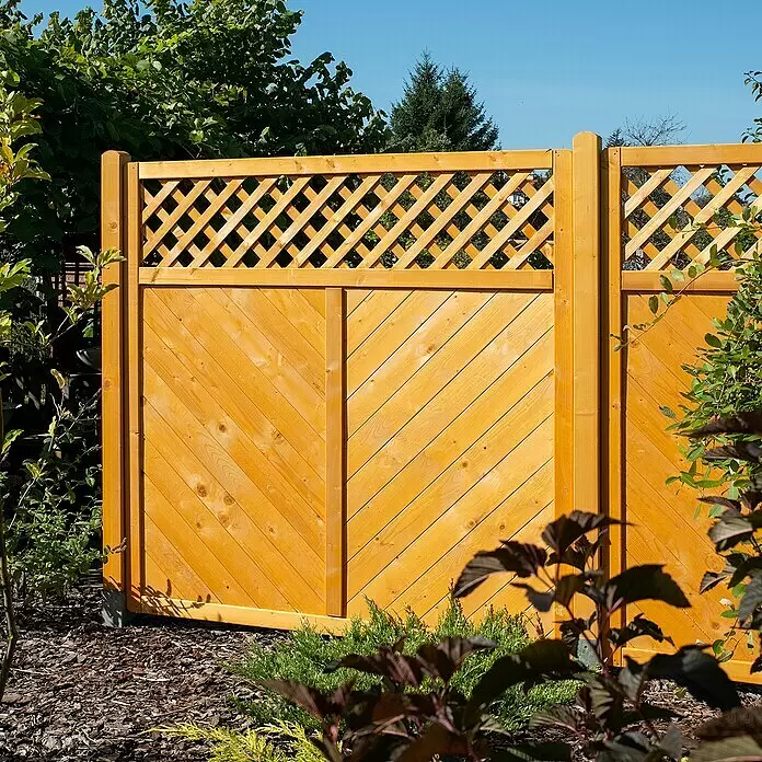 Sichtschutzelement Regensburg - Honig, 180 x 180 cm, Mit Gitter - Goldenes Holzzaunfeld mit Rankgitter oben und diagonalen Brettern, in einem Garten.