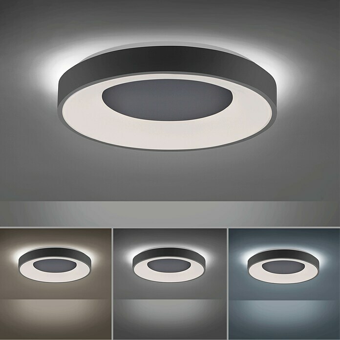 Just Light LED-Deckenleuchte rund (30 W, Ø x H: 48 x 7,8 cm, Anthrazit,  Sonstige) | BAUHAUS | Deckenlampen