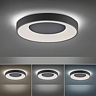 LeuchtenDirekt LED-Deckenleuchte rund (30 W, Ø x H: 48 x 7,8 cm, Anthrazit, Sonstige)