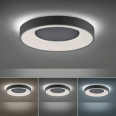 Just Light LED-Deckenleuchte rund (30 W, Ø x H: 48 x 7,8 cm, Anthrazit, Sonstige)