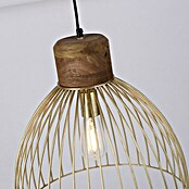 Just Light Pendelleuchte (25 W, L x B x H: 40 x 40 x 120 cm, E27) | BAUHAUS