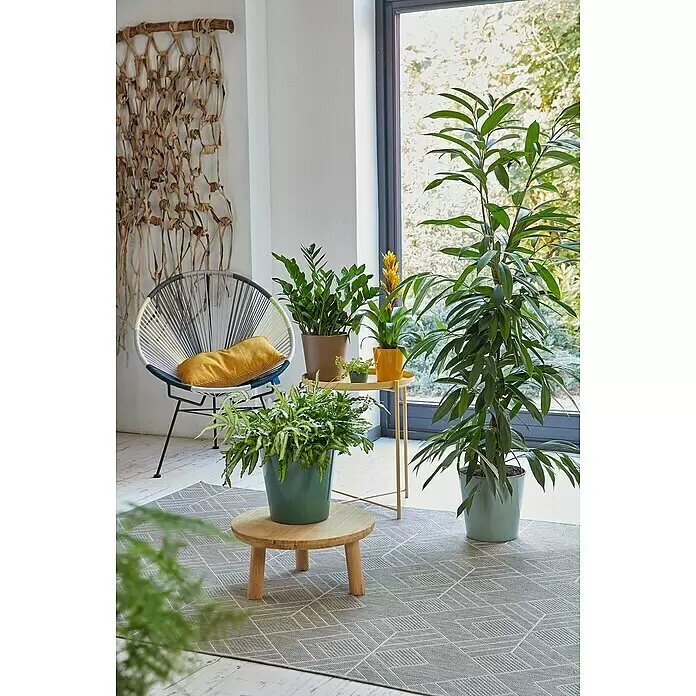 Soendgen Keramik Übertopf rund Dallas Breeze - Außenmaß (Ø x H): 24 x 24 cm, Senfgelb, Keramik, Glänzend - Stimmungsaufnahme