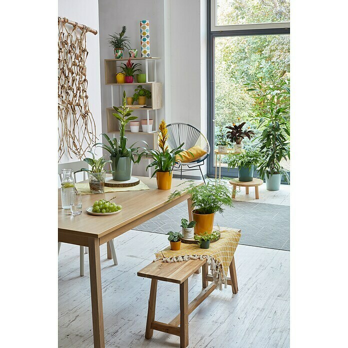 Soendgen Keramik Übertopf Dallas Esprit - Anthrazit 21x21x21cm Made In Germany