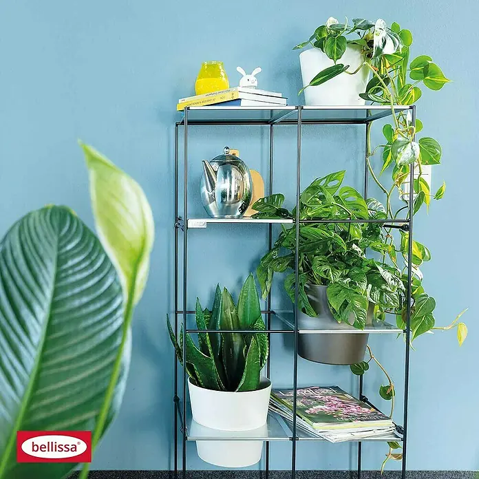 Bellissa Regalsystem Filo 2x4 - 59 x 31 x 117 cm - Das Bild zeigt ein modernes Regal mit Pflanzen, Büchern und dekorativen Gegenständen vor einem blauen Hintergrund. Das Bellissa-Logo ist sichtbar.