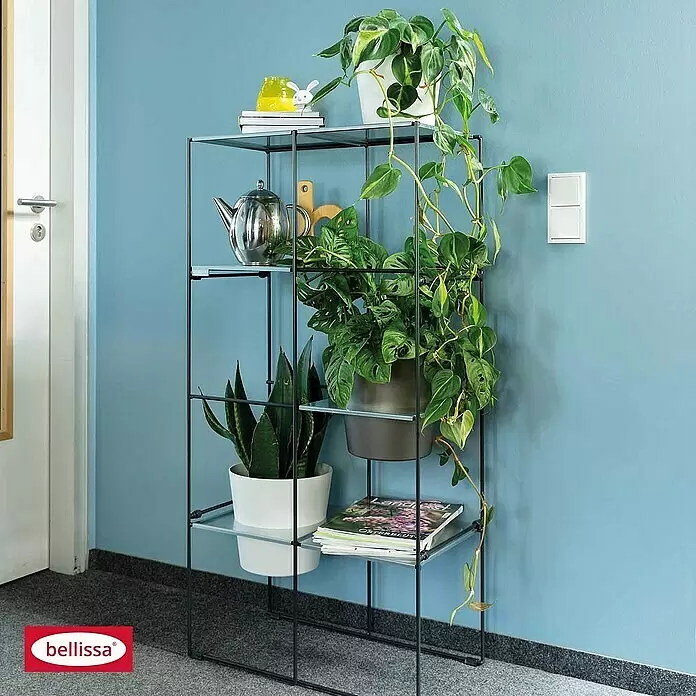 Bellissa Regalsystem Filo 2x4 - 59 x 31 x 117 cm - Hohes schwarzes Metallregal mit transparenten Ablagen, das verschiedene Topfpflanzen, eine Teekanne und Zeitschriften an einer blauen Wand präsentiert.
