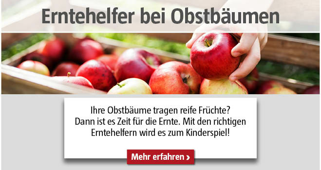 Obsternte