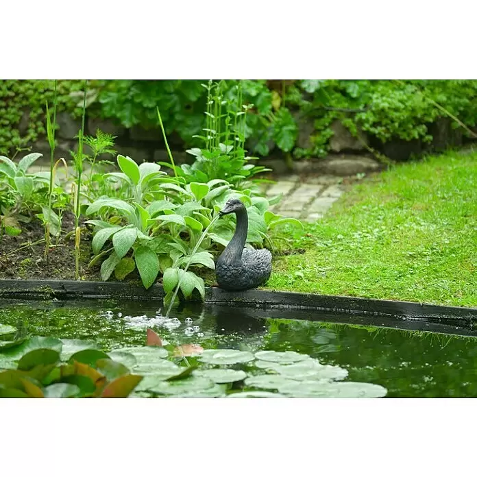 Ubbink Wasserspeier Schwan - 14 x 27 x 27 cm - Schwarzer Schwan Gartenbrunnen-Ornament, das Wasser in einen Teich mit Seerosen spritzt, umgeben von grünen Pflanzen.