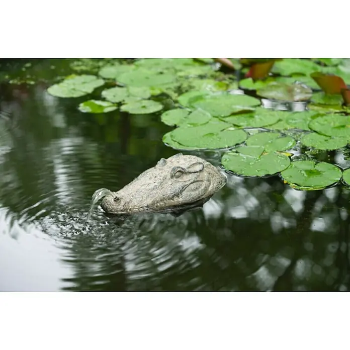 Ubbink Wasserspeier Krokodil16 x 34 x 10 cm - Nahaufnahme eines dekorativen Krokodilspeiers in einem Teich mit Seerosen, der Wasser speit und dem Teich eine verspielte Note verleiht.