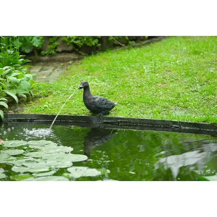 Ubbink Wasserspeier Ente - 15 x 29 x 24 cm - Nahaufnahme einer dekorativen Entenbrunnenfigur aus dunklem Stein, die Wasser in einen Teich mit Seerosen speit und eine ruhige Gartenszene schafft.
