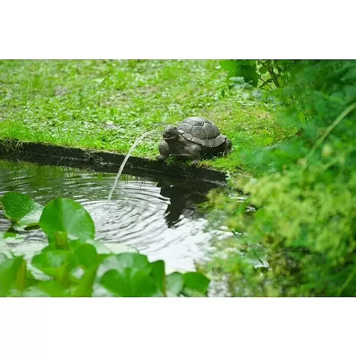 Ubbink Wasserspeier Schildkröte - 18 x 21 x 14 cm - Ein dunkelgrauer Schildkröten-Gartenbrunnen sprüht Wasser in einen Teich mit Seerosen.