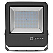 Ledvance LED-Strahler (100 W) | BAUHAUS