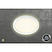 Tween Light LED-Deckenleuchte rund (18 W, Weiß) | BAUHAUS