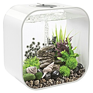 biOrb Deko-Set für Aquarien Rockvalley (Passend für: biOrb Aquarien)