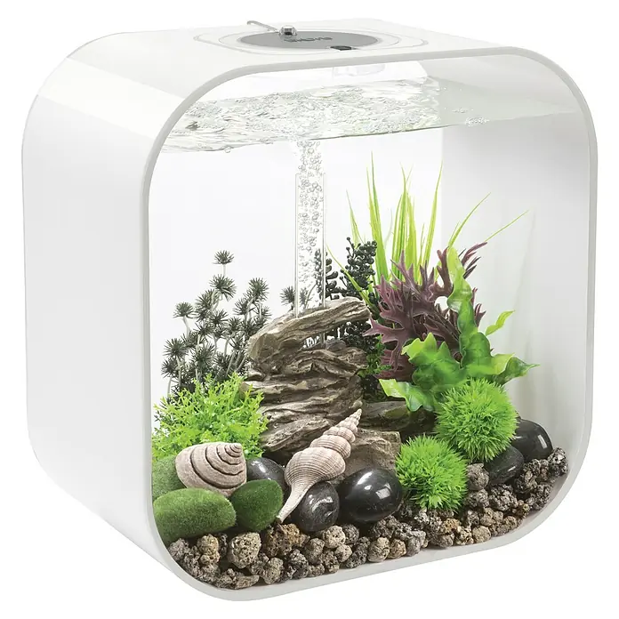biOrb Deko-Set für Aquarien Rockvalley - Passend für: biOrb Aquarien - Nahaufnahme eines BiOrb Cube 30 Aquariums mit Dekorationen, Pflanzen und Wasser, ideal für jeden Raum.