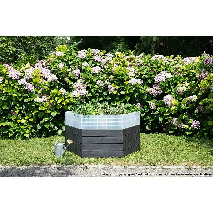 Garantia Hochbeet-Erweiterung Wachstumsmodul Ergo XL - Kunststoff, Transparent - Ein erhöhter, sechseckiger Pflanzkasten mit einem transparenten Aufsatz vor einem üppigen Hortensienbusch.