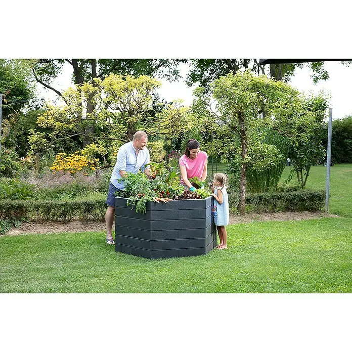 Garantia Hochbeet Ergo XL Stone - Ø x H: 145 x 25 cm, Kunststoff, Anthrazit - Familie beim Gärtnern in einem grauen, sechseckigen Hochbeet voller Gemüse in einem grünen Garten.
