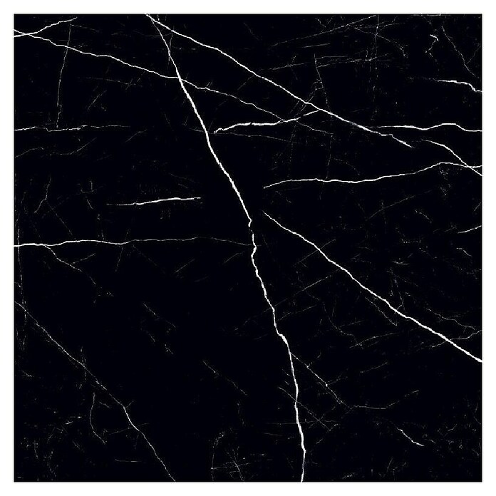 Feinsteinzeugfliese Black Marble (120 x 120 cm, Schwarz, Glänzend) | BAUHAUS