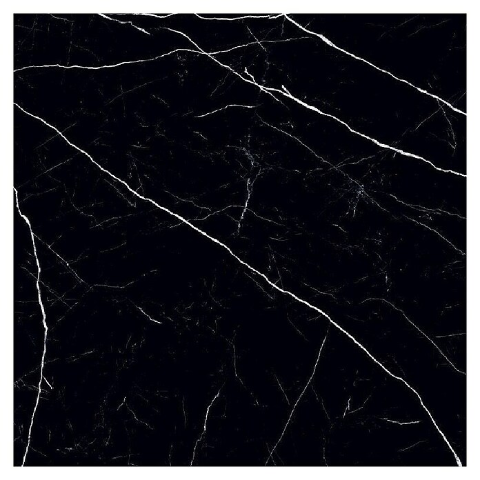 Feinsteinzeugfliese Black Marble (120 x 120 cm, Schwarz, Glänzend) | BAUHAUS