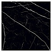 Feinsteinzeugfliese Black Marble (120 x 120 cm, Schwarz, Glänzend) | BAUHAUS