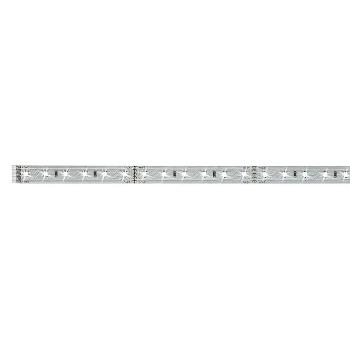 Paulmann MaxLED 500 LED-Band unbeschichtet - Länge: 1 m, Lichtfarbe: Tageslichtweiß, 6 W, 550 lm, Unbeschichtet - Helles LED-Band für Akzentbeleuchtung. Das Band ist mit LEDs, Widerständen und Anschlussklemmen ausgestattet und für 24V ausgelegt.