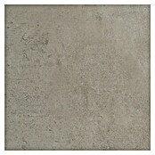 Feinsteinzeugfliese Vision Grey (120 x 120 cm, Grau, Matt) | BAUHAUS