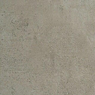 Feinsteinzeugfliese Vision Grey (120 x 120 cm, Grau, Matt)