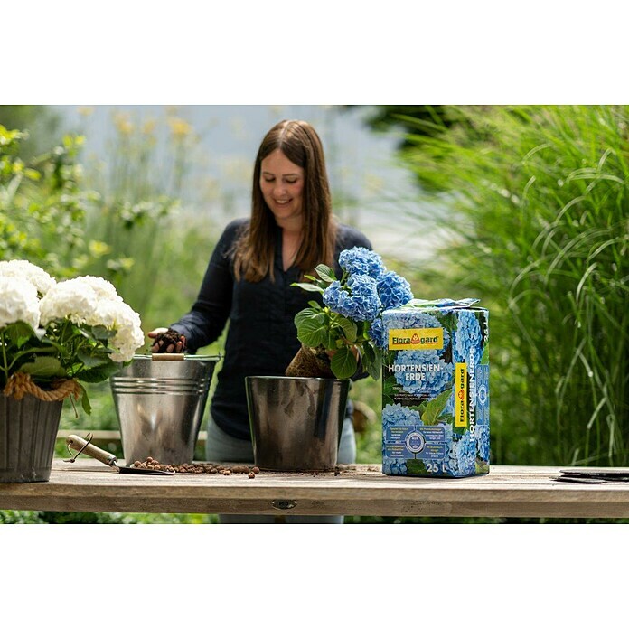 Floragard Hortensienerde25 l, Geeignet für: Blaue Hortensien Use Shot