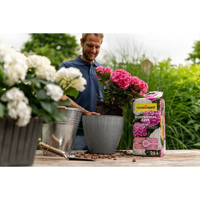 Floragard Hortensienerde25 l, Geeignet für: Rosa/Weiße Hortensien Use Shot