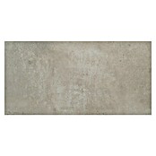 Feinsteinzeugfliese Vision Grey (60 x 120 cm, Grau, Matt) | BAUHAUS