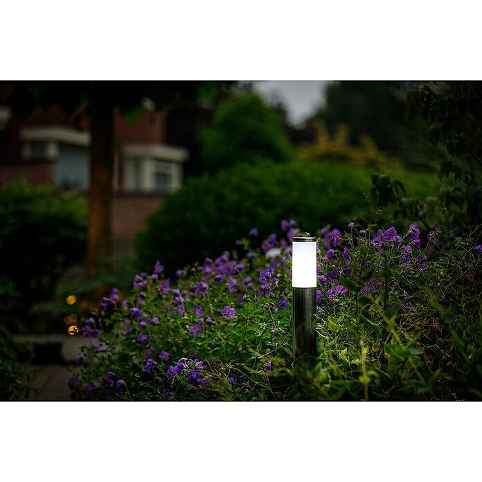 Garden Lights Sokkellamp voor buiten Silia (1 W, Zilver, 60 x 60 x 600 mm) | BAUHAUS