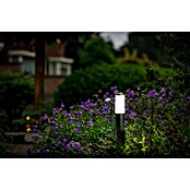 Garden Lights Sokkellamp voor buiten Silia (1 W, Zilver, 60 x 60 x 600 mm) | BAUHAUS