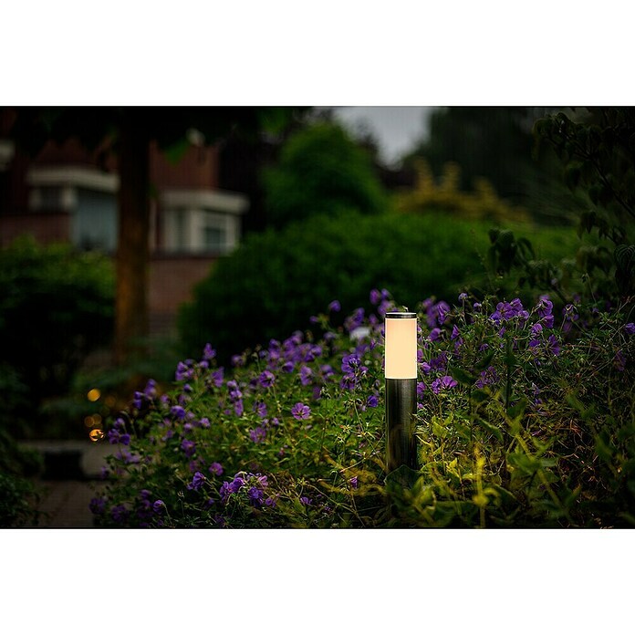 Garden Lights Sokkellamp voor buiten Silia (1 W, Zilver, 60 x 60 x 600 mm) | BAUHAUS
