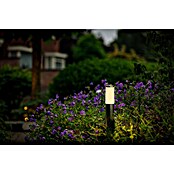 Garden Lights Sokkellamp voor buiten Silia (1 W, Zilver, 60 x 60 x 600 mm) | BAUHAUS