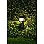 Garden Lights Sokkellamp voor buiten Kolossos (1,5 W, Antraciet, 105 x 105 x 600 mm) | BAUHAUS
