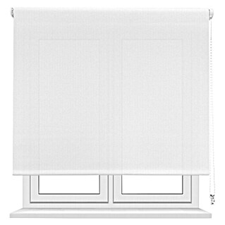 Estor enrollable screen 5% Zoe (An x Al: 120 x 250 cm, Blanco)
