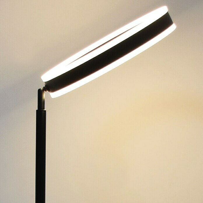 Lavida Ring LED-StehleuchteHöhe: 180 cm, Schwarz, Warmweiß Use Shot