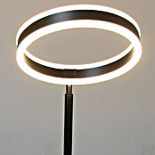 Lavida Ring LED-Stehleuchte (Höhe: 180 cm, Schwarz, Warmweiß) | BAUHAUS