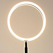 Lavida Ring LED-Stehleuchte (Höhe: 180 cm, Schwarz, Warmweiß) | BAUHAUS