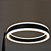 Lavida Ring LED-Stehleuchte (Höhe: 180 cm, Schwarz, Warmweiß) | BAUHAUS