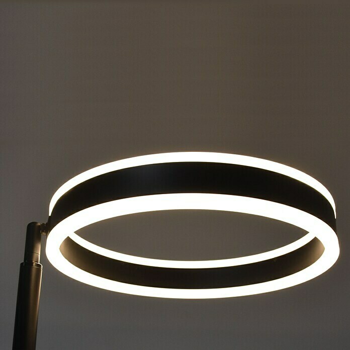 Lavida Ring LED-StehleuchteHöhe: 180 cm, Schwarz, Warmweiß Use Shot